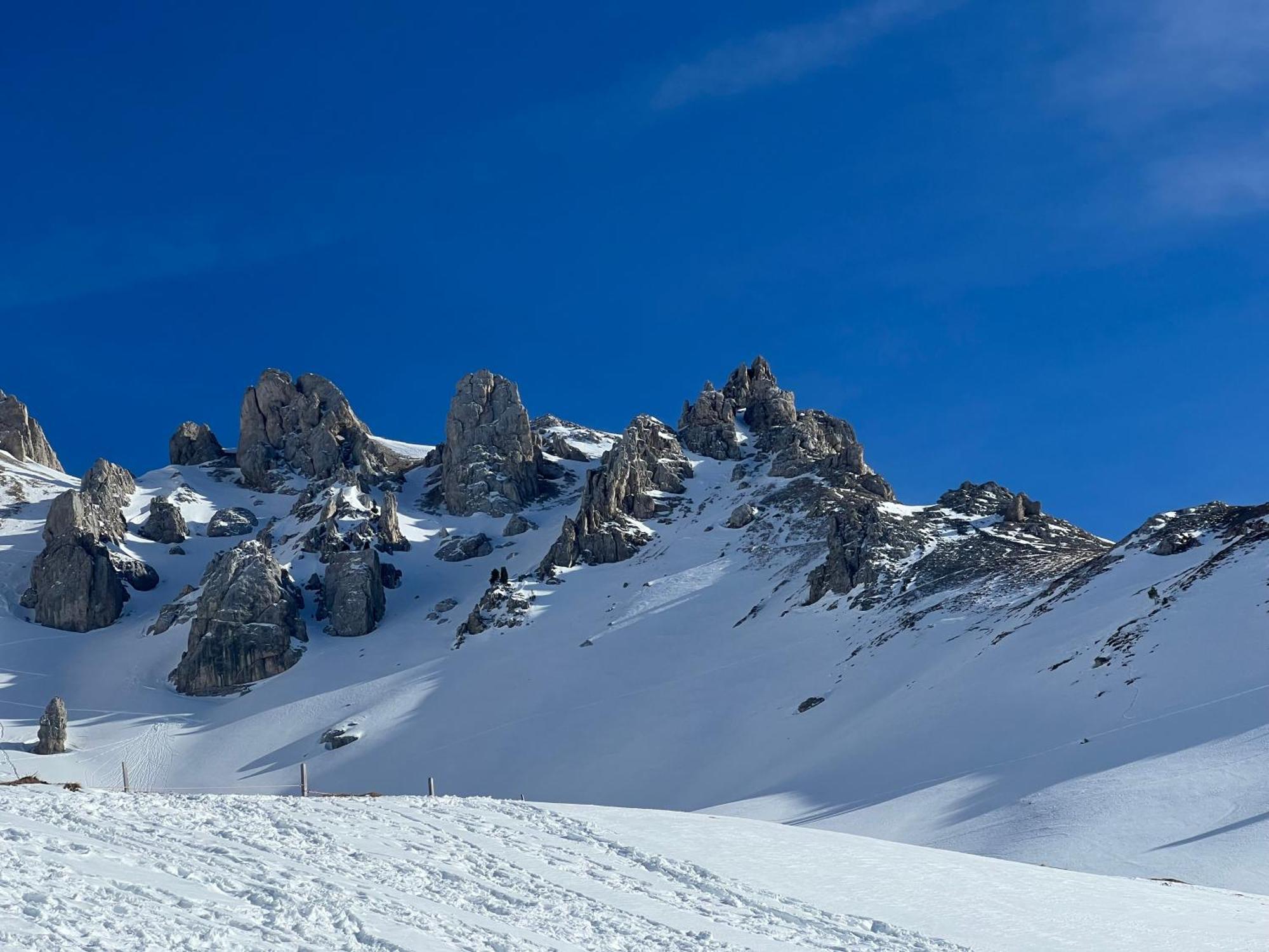 Chalet Tschattlhof Dolomites Cavalese Exterior foto