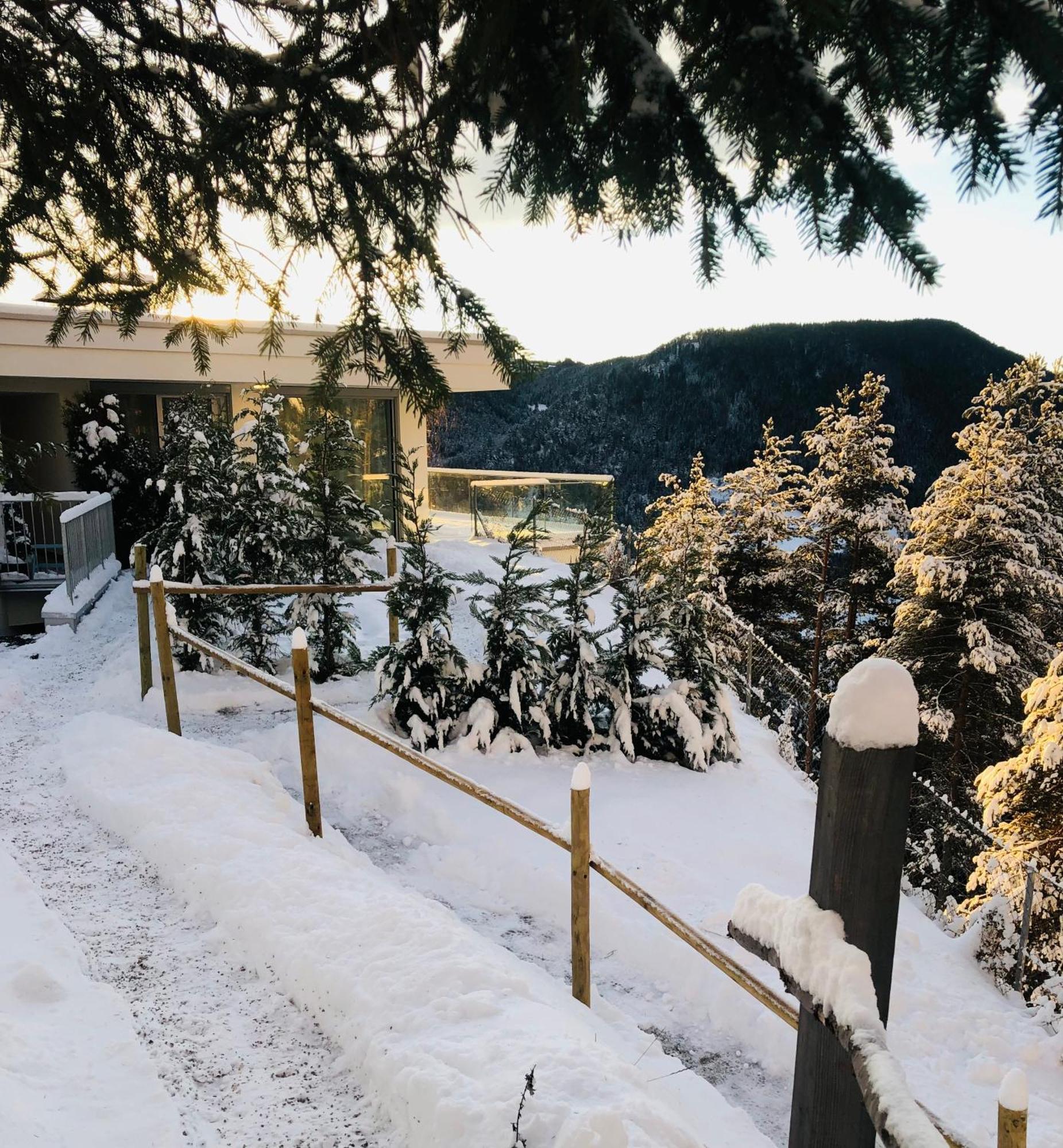 Chalet Tschattlhof Dolomites Cavalese Exterior foto