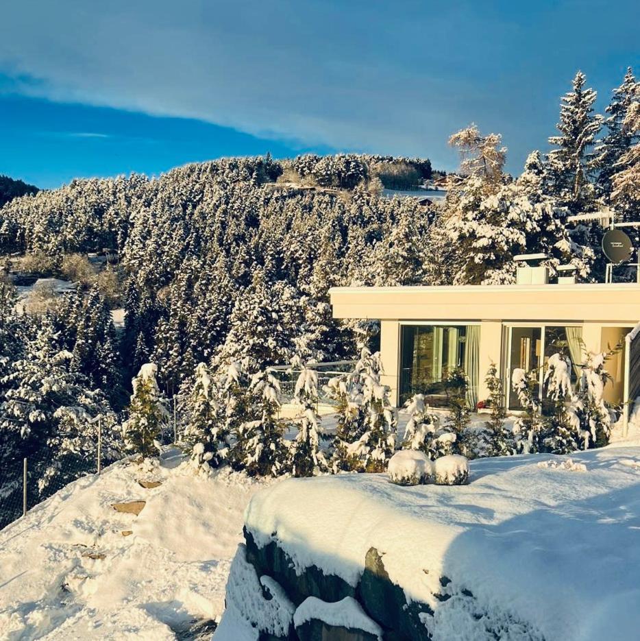 Chalet Tschattlhof Dolomites Cavalese Exterior foto